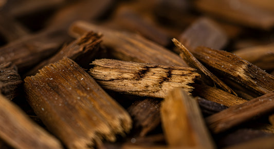 I. AN OLFACTORY ODYSSEY